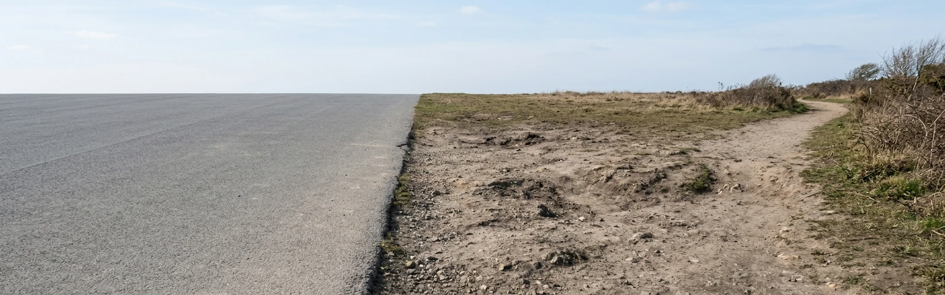 Wide view of a footpath crossing an open clearing where earth meets a paved surface under soft daylight